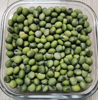 권철환님의 작성글 사진