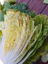 팜모닝 농사, 무엇이든 물어보세요!·참여글 게시글 이미지