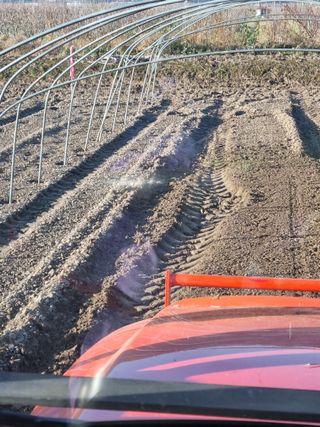 믿고사는농원-송미경님의 겨울 대비 어떻게 하셨나요 · 참여글 작성글 사진