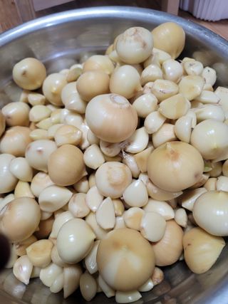 둥근마지기님의 겨울 대비 어떻게 하셨나요 · 참여글 작성글 사진