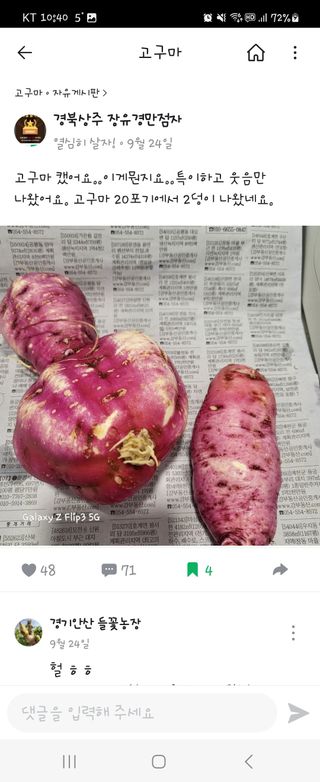 장유경만점자님의 농사, 무엇이든 물어보세요! · 참여글 작성글 사진