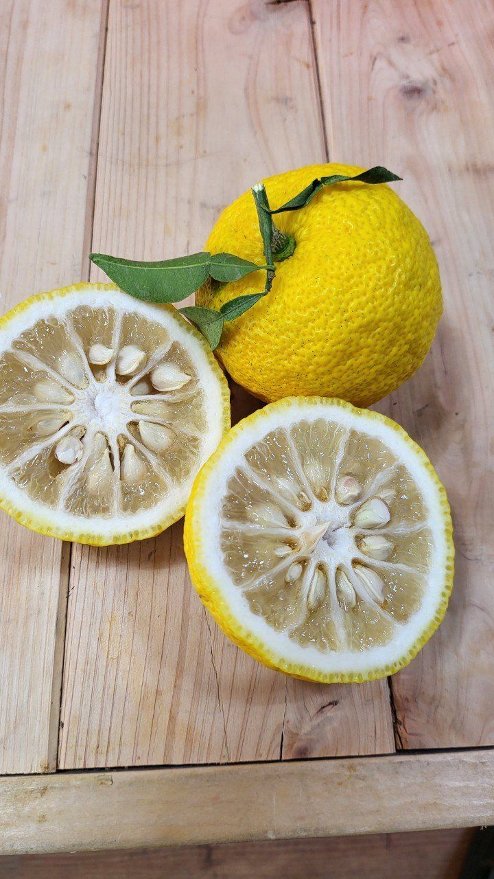 장금이1님의 장터 판매 상품 [고흥유자] 첨부 사진