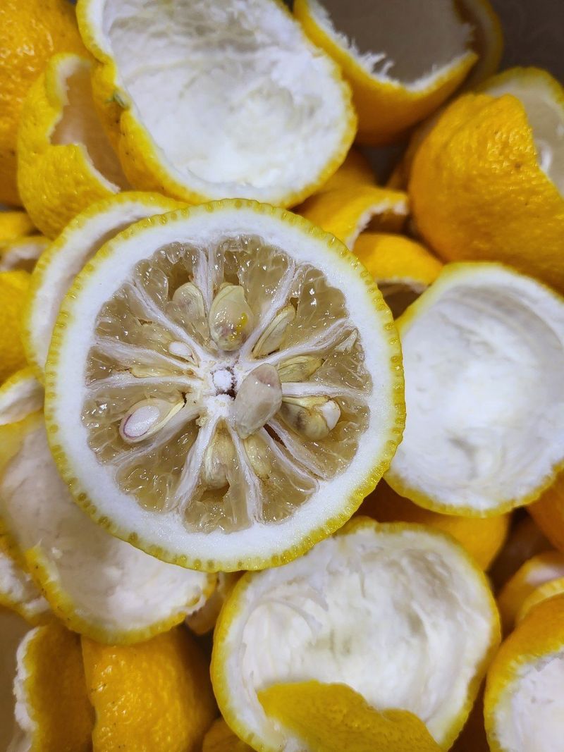 장금이1님의 장터 판매 상품 [고흥유자] 첨부 사진