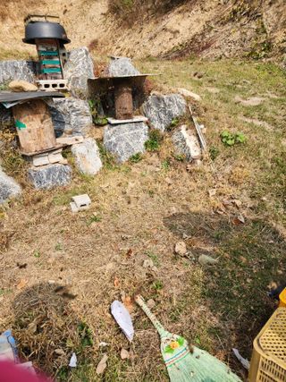 원주청년님의 작성글 사진