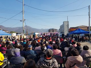 초록나무님의 자유주제 · 자유게시판 작성글 사진