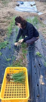 팜모닝 자유주제·자유게시판 게시글 이미지