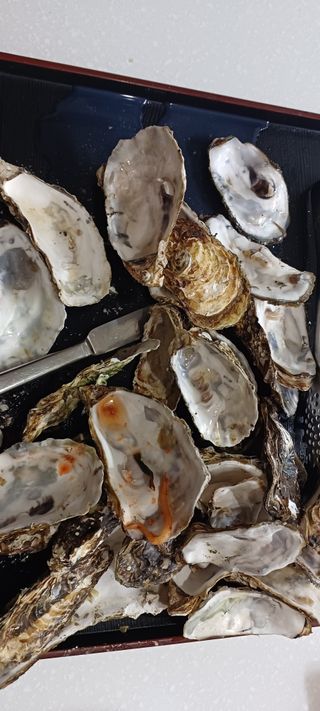 보령 게으른농부님의 자유주제 · 자유게시판 작성글 사진