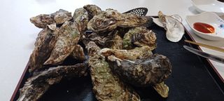 보령 게으른농부님의 자유주제 · 자유게시판 작성글 사진