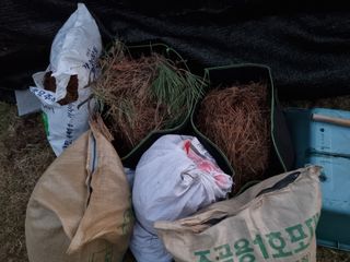 새의눈님의 블루베리 · 영농일지 작성글 사진