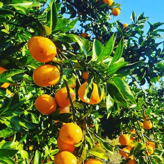 오정현님의 작성글 사진