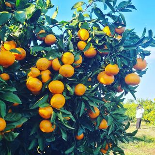 오정현님의 작성글 사진