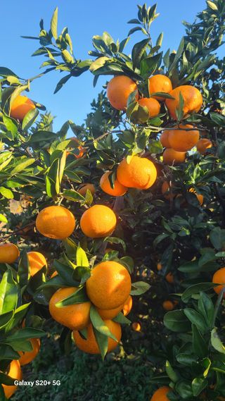 오정현님의 작성글 사진