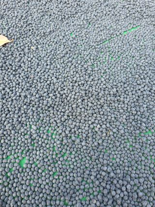 딸기15519님의 작성글 사진