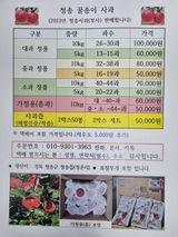 팜모닝 · 게시글 이미지