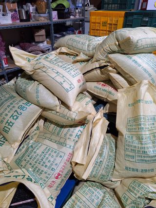 조순자님의 작성글 사진