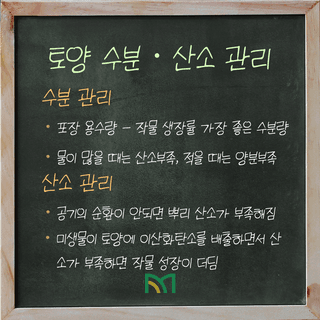 팜모닝 농사공부님의 매일매일 농사공부 · 매일매일 농사공부 작성글 사진