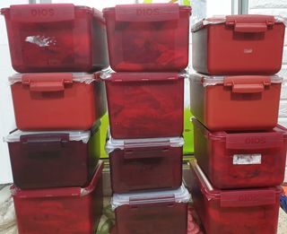 호랑이와인성이님의 자유주제 · 자유게시판 작성글 사진