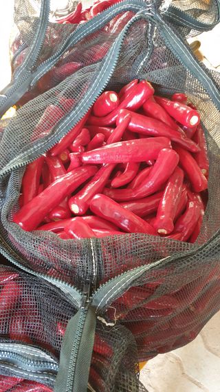 호랑이와인성이님의 자유주제 · 자유게시판 작성글 사진