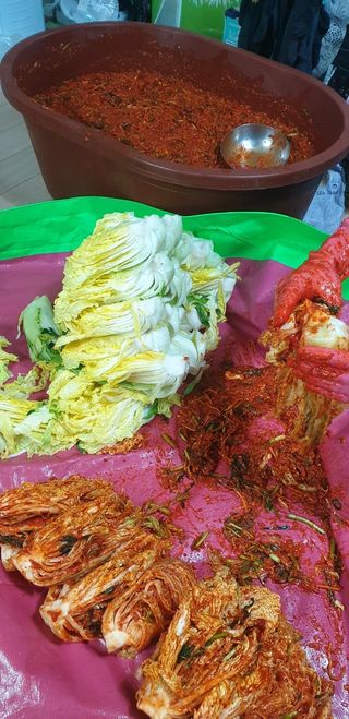 호랑이와인성이님의 자유주제 · 자유게시판 작성글 사진