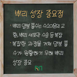 팜모닝 농사공부님의 매일매일 농사공부 · 매일매일 농사공부 작성글 사진