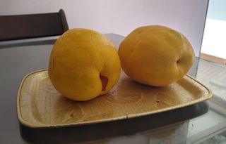 태평농장님의 기타작물 · 자유게시판 작성글 사진