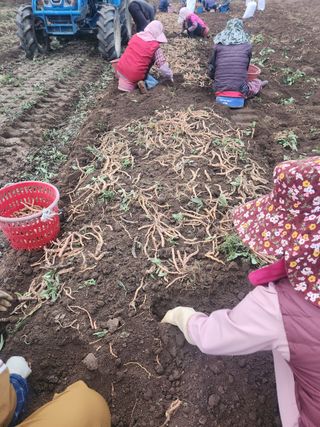 피롤땅지기님의 자유주제 · 사진전 작성글 사진