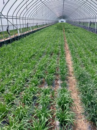 피롤땅지기님의 자유주제 · 사진전 작성글 사진