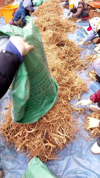 피롤땅지기님의 자유주제 · 사진전 작성글 사진