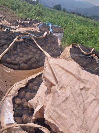 피롤땅지기님의 자유주제 · 사진전 작성글 사진