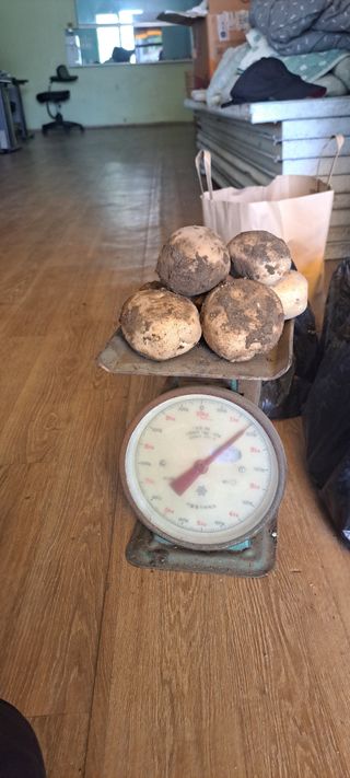 펠렛전문이부장님의 농사, 무엇이든 물어보세요! · 참여글 작성글 사진