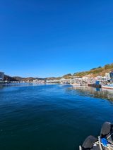 팜모닝 우리동네·동네정보 게시글 이미지