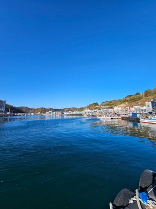 노가네수산님의 우리동네 · 동네정보 작성글 사진