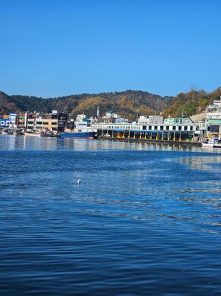 노가네수산님의 우리동네 · 동네정보 작성글 사진