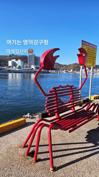 노가네수산님의 우리동네 · 동네정보 작성글 사진