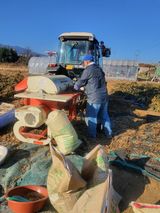 팜모닝 콩·자유게시판 게시글 이미지