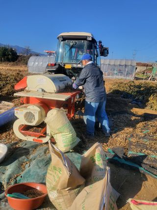 최남옥님의 콩 · 자유게시판 작성글 사진