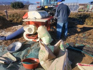 최남옥님의 콩 · 자유게시판 작성글 사진