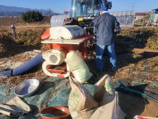 최남옥님의 콩 · 자유게시판 작성글 사진