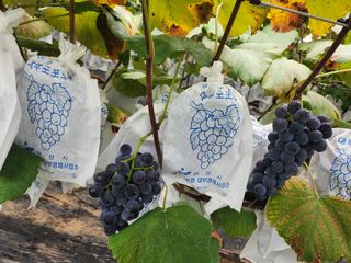 김복자님의 겨울 대비 어떻게 하셨나요 · 참여글 작성글 사진