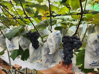 김복자님의 겨울 대비 어떻게 하셨나요 · 참여글 작성글 사진