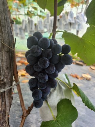 김복자님의 겨울 대비 어떻게 하셨나요 · 참여글 작성글 사진