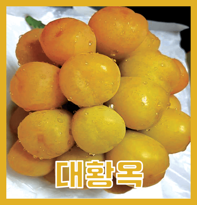 오대원님의 장터 판매 상품 [루비에스사과 수퍼복분자 블랙 베리 왜성호두 민엄나무묘목 포도 묘목 7종 판매합니다 ] 첨부 사진