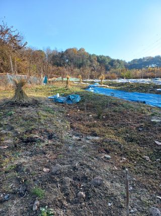 성낙신 님의 겨울 대비 어떻게 하셨나요 · 참여글 작성글 사진