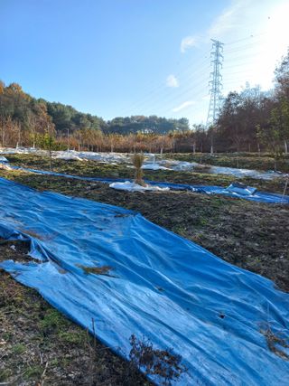 성낙신 님의 겨울 대비 어떻게 하셨나요 · 참여글 작성글 사진