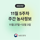 팜모닝 팜모닝공식·혜택 게시글 이미지