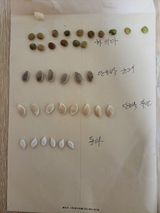 팜모닝 자유주제·칭찬해요 게시글 이미지