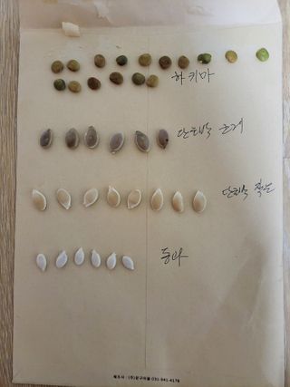 조규산님의 자유주제 · 칭찬해요 작성글 사진