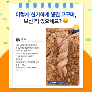 팜모닝 베스트님의 팜모닝공식 · 팜모닝 베스트 작성글 사진