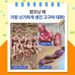 팜모닝 베스트님의 팜모닝공식 · 팜모닝 베스트 작성글 사진