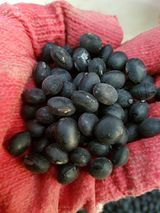 팜모닝 · 게시글 이미지